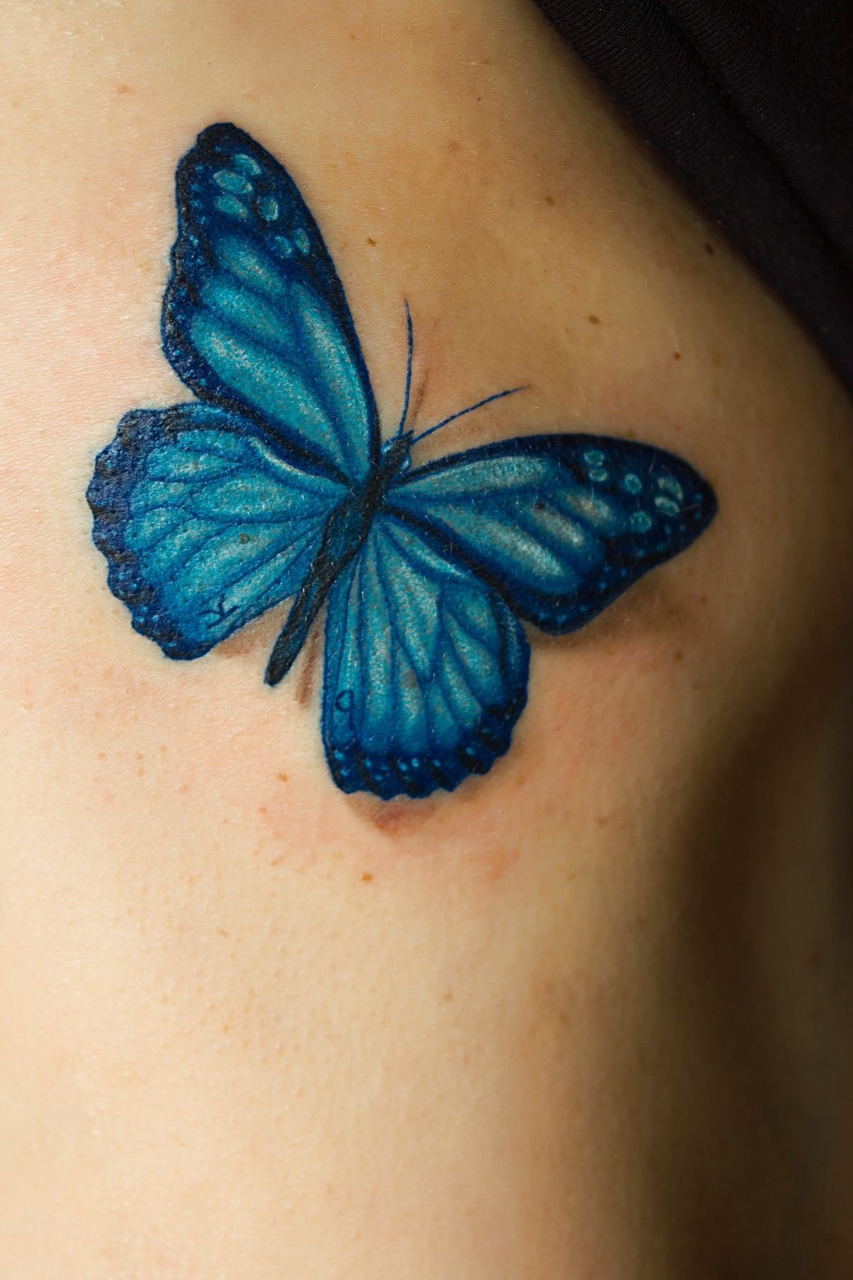 Blue Butterfly Tattoo Designs 20 Butterfly Tattoos 224300 20 for proportions 1200 X 1800