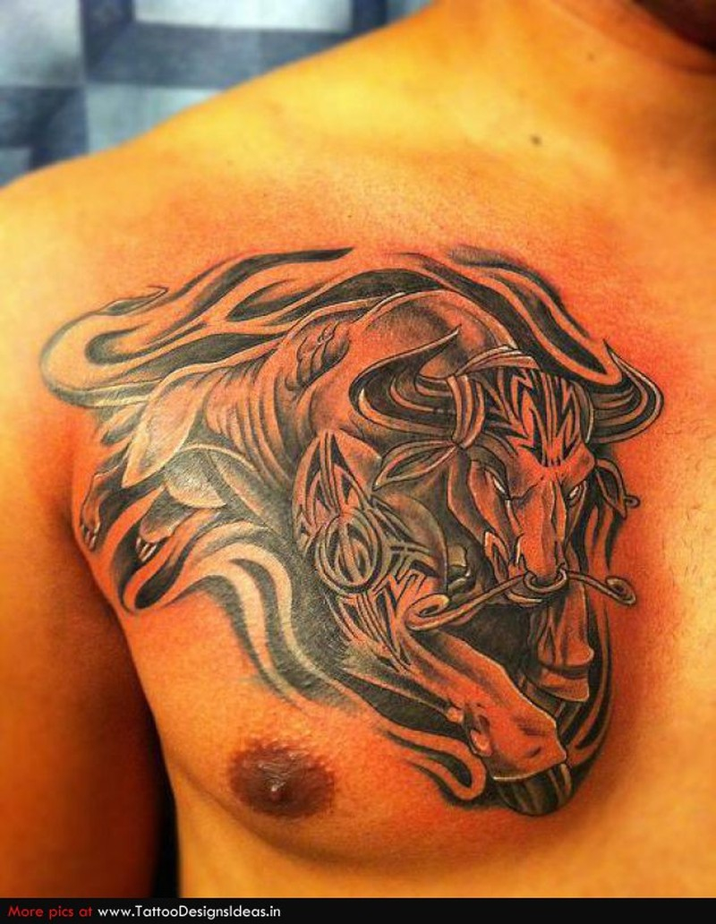 Bull Tattoo For Chest Tattoos Book 65000 Tattoos Designs for measurements 800 X 1032