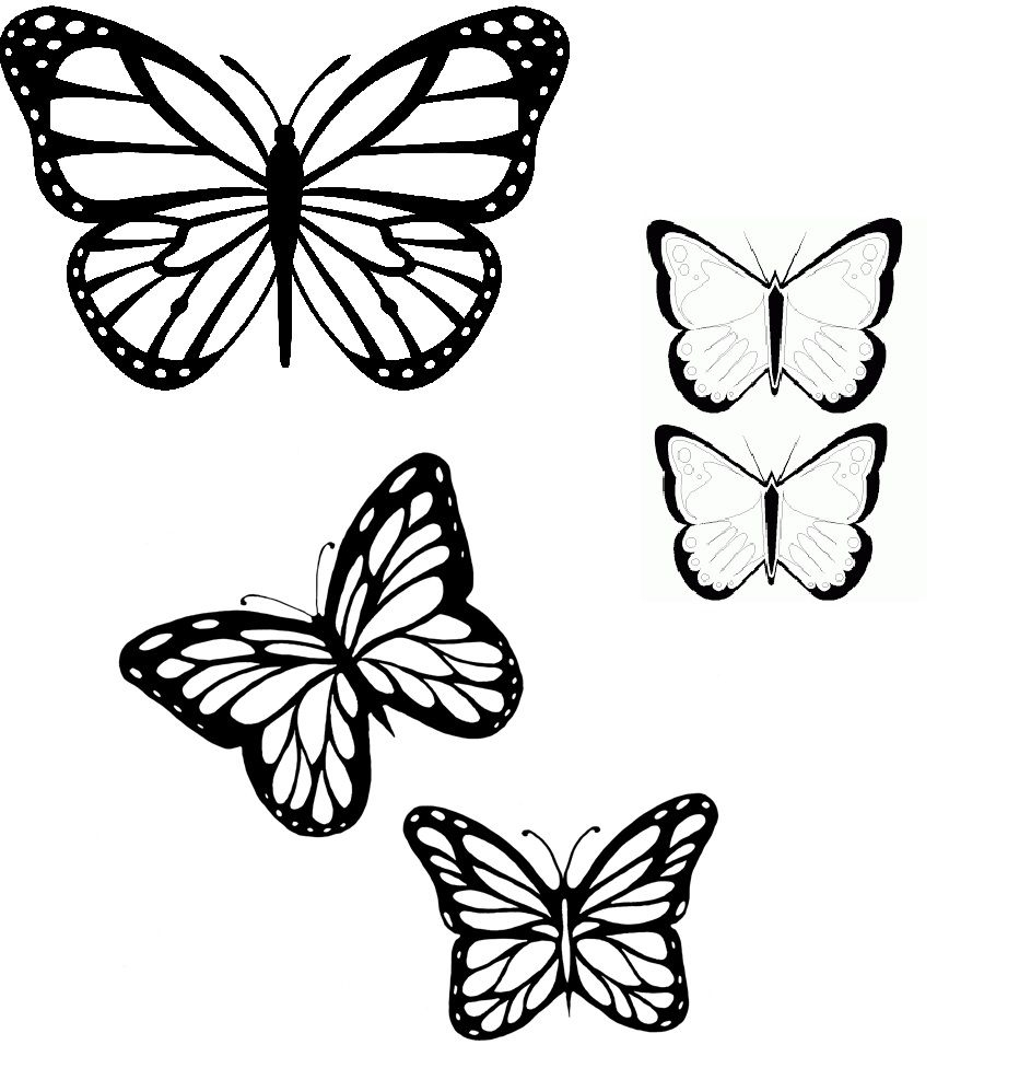 Butterflies Outline Patterns Etc Butterfly Outline Tattoo inside proportions 943 X 976