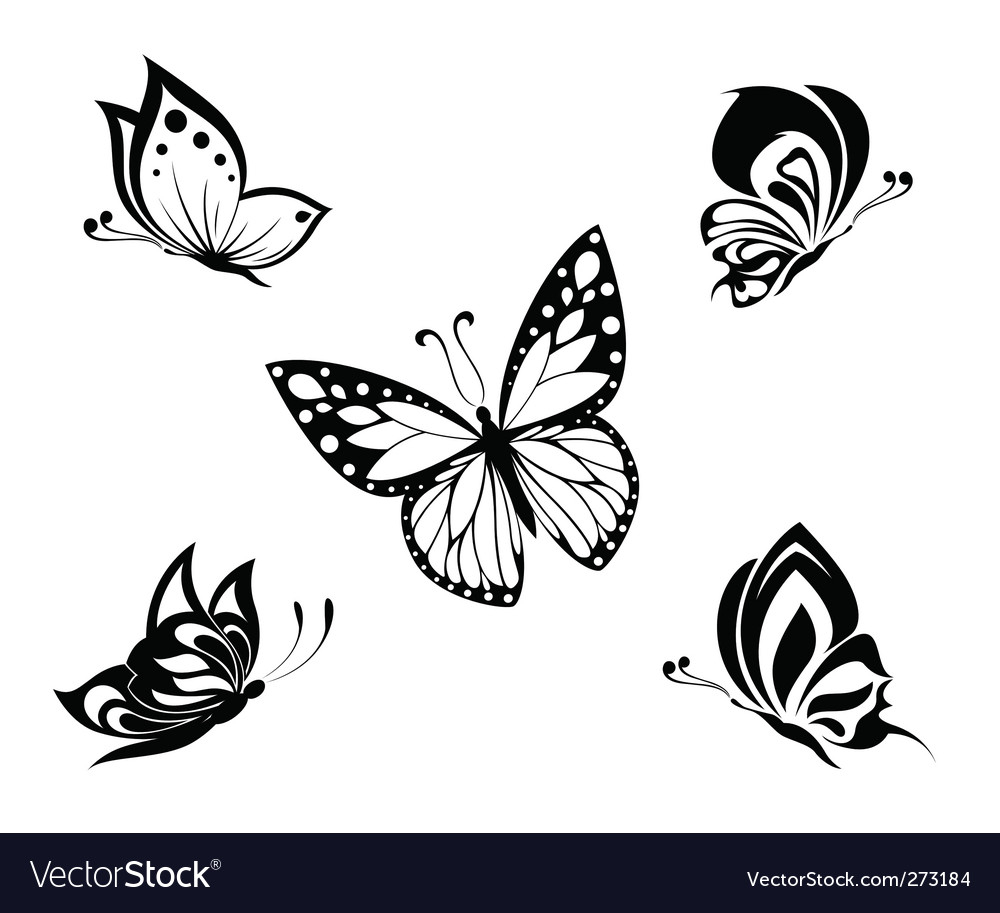 Butterflies Tattoo Royalty Free Vector Image Vectorstock for measurements 1000 X 913