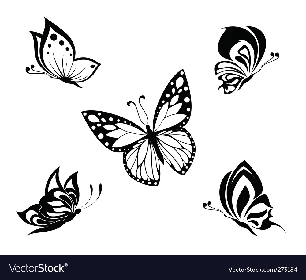 Butterflies Tattoo Royalty Free Vector Image Vectorstock for size 1000 X 913
