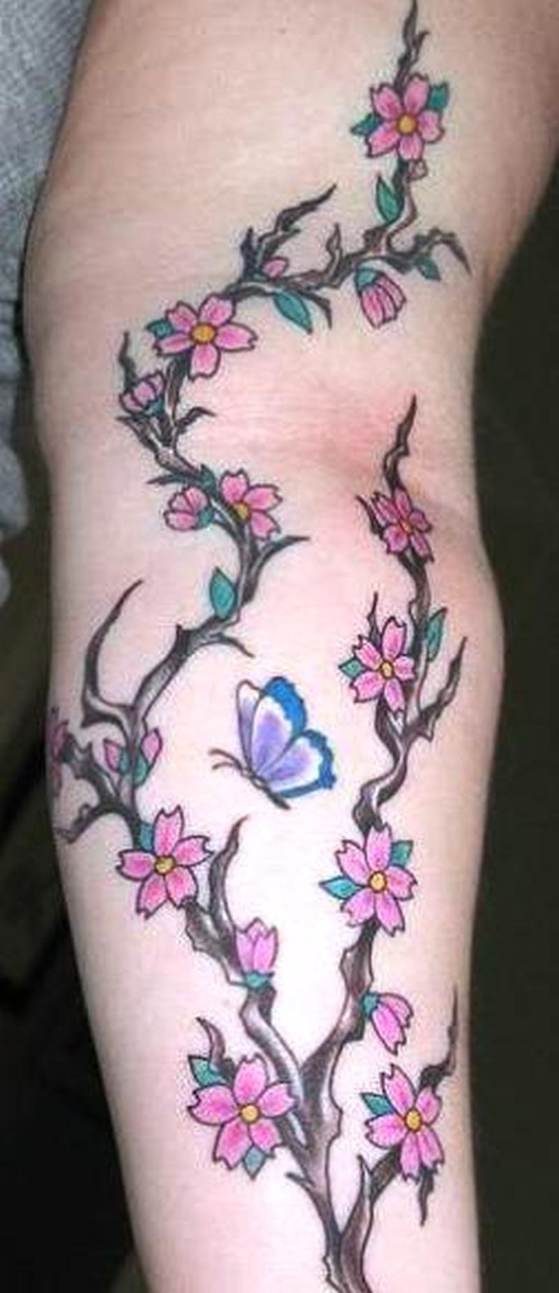 Butterfly Cherry Blossom Vine Tattoo On Arm Tattoos Book 65000 within size 800 X 1850