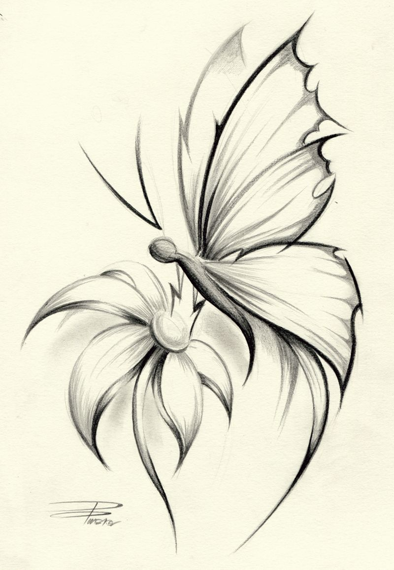 Butterfly Flower Davepinsker On Deviantart Pictures In 2019 in dimensions 800 X 1155