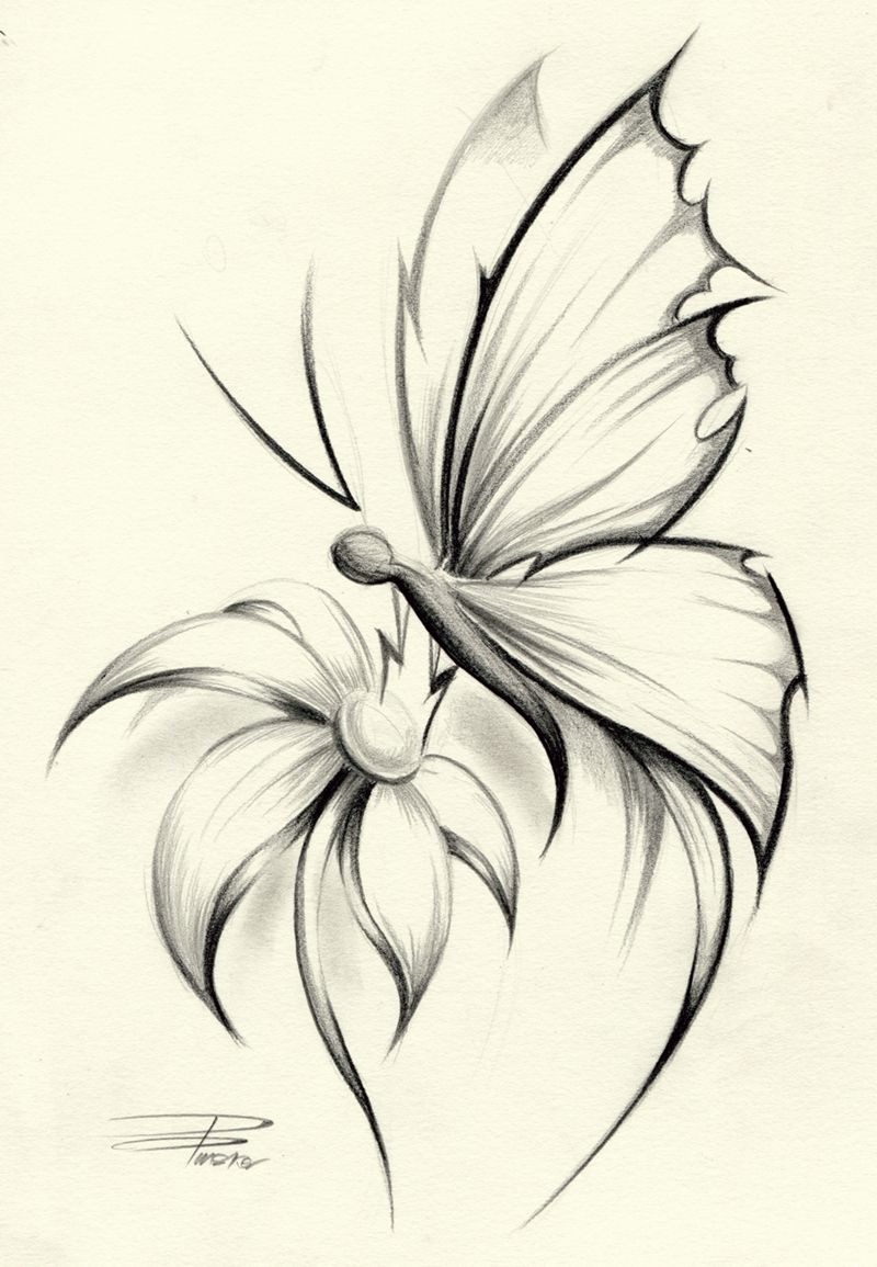 Butterfly Flower Davepinsker On Deviantart Pictures In 2019 regarding dimensions 800 X 1155