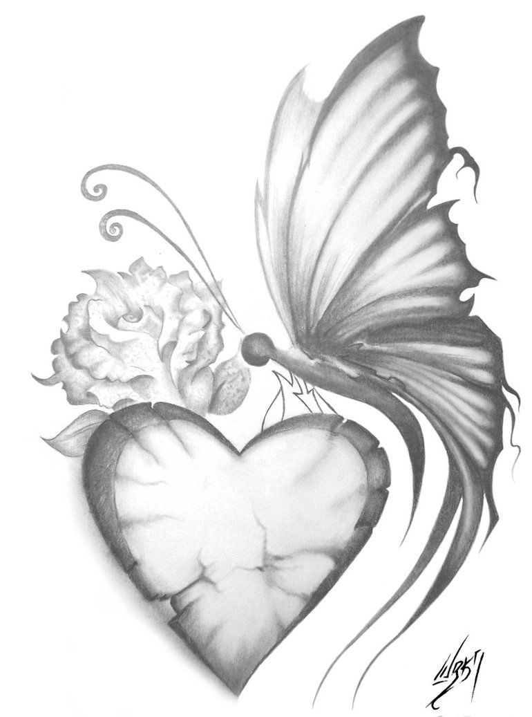 Butterfly Heart Interesting In 2019 Beautiful Pencil Drawings pertaining to sizing 770 X 1037