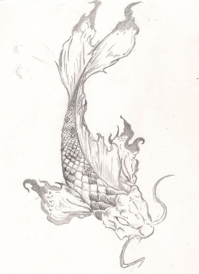 Butterfly Koi Drawing Butterfly Koi Fish Drawing Koi Fish Drawing intended for sizing 762 X 1047