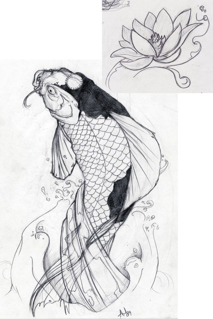 Butterfly Koi Fish Koi Fish Tattoo Designs Sketch Collection 4 with regar.....