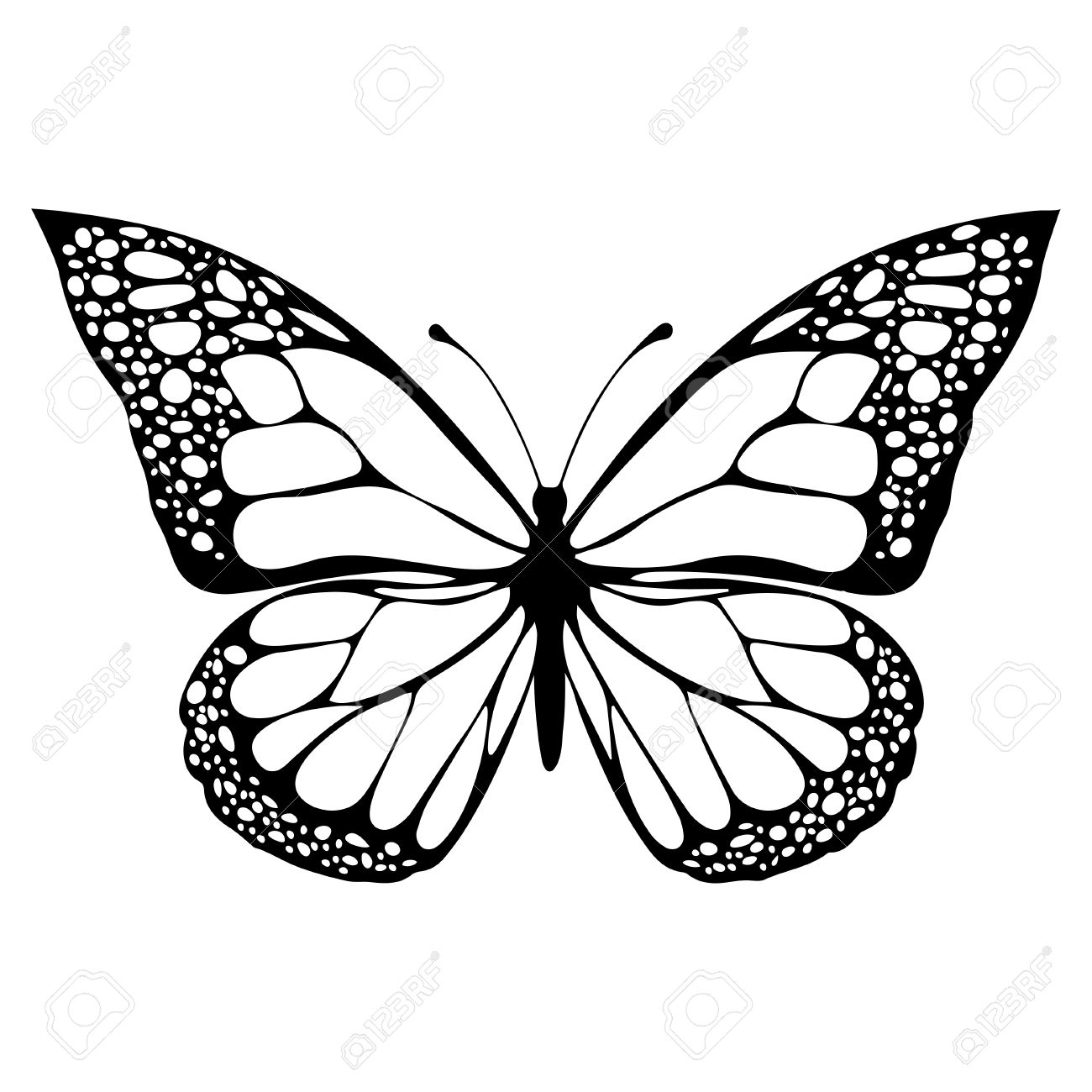 Butterfly Monochrome Coloring Book Black And White Illustration for dimensions 1300 X 1300