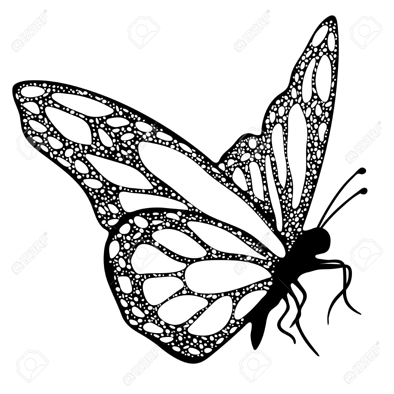 Butterfly Monochrome Coloring Book Black And White Illustration with measurements 1300 X 1300