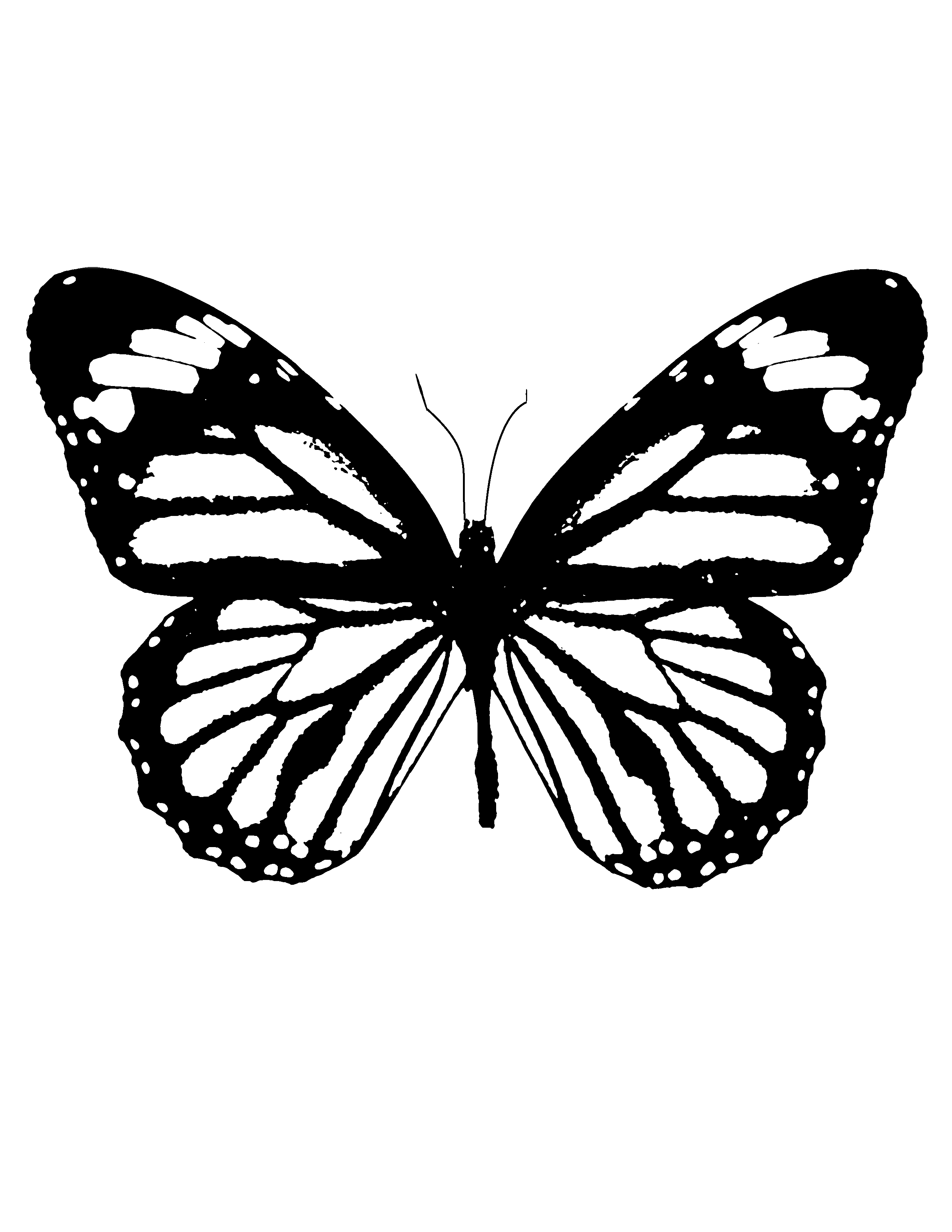 Butterfly Tattoo Stencil Arm Tattoo Sites