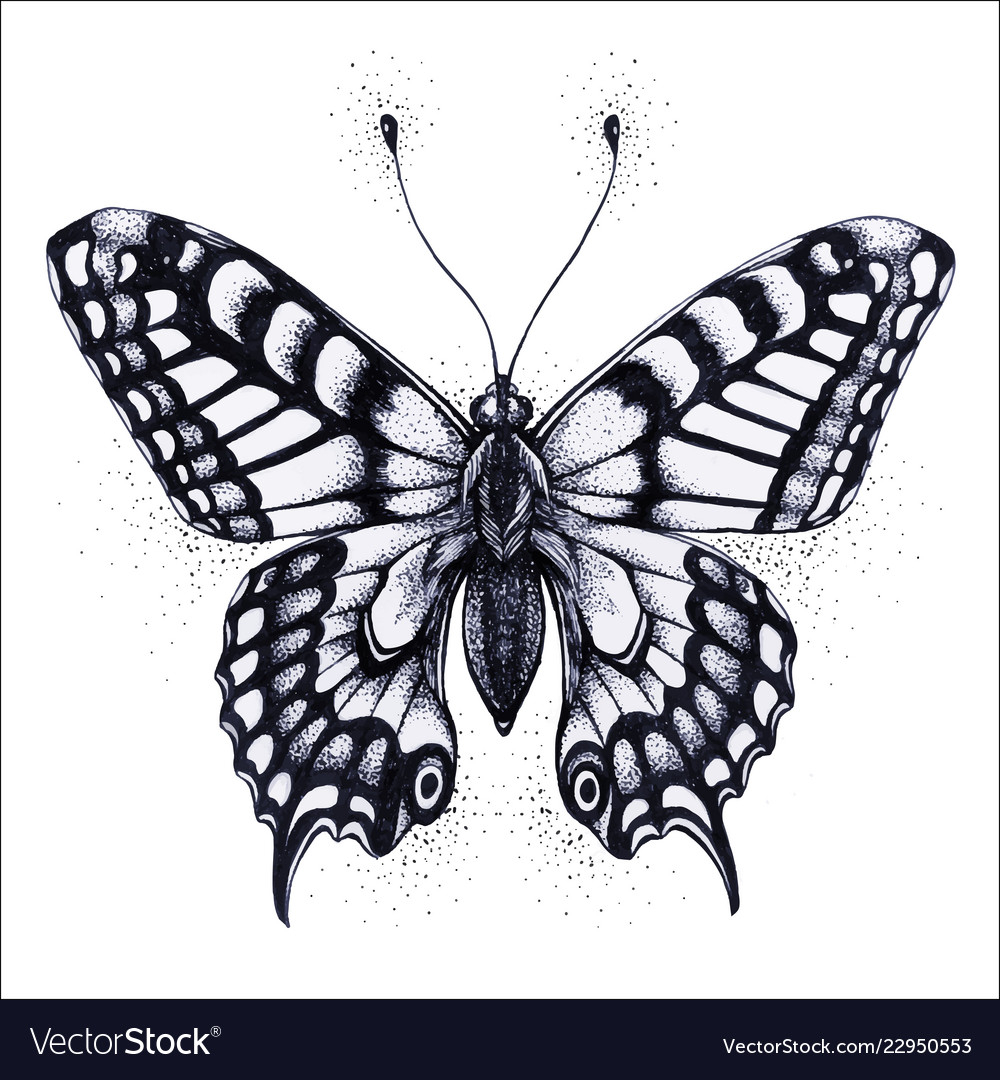 Butterfly Tattoo Butterfly Royalty Free Vector Image intended for size 1000 X 1080