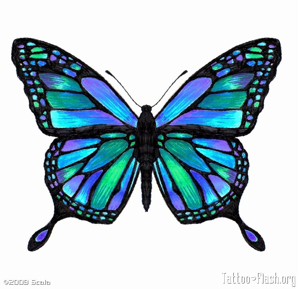 Butterfly Tattoo Extension 104 Tattoos Blue Butterfly Tattoo intended for measurements 1024 X 994