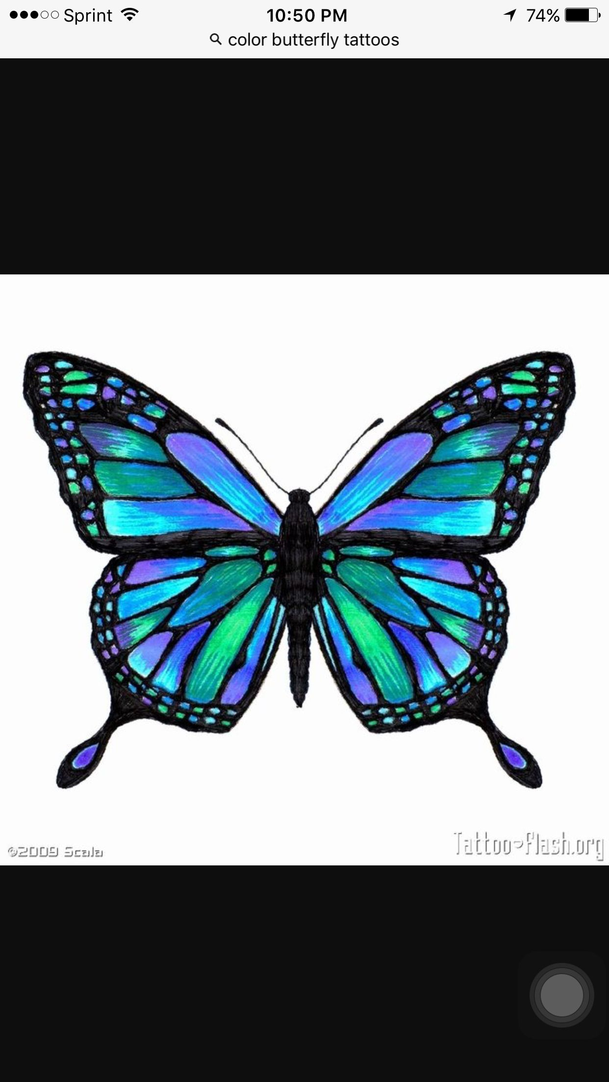 Butterfly Tattoo Idea Bluepurple Body Art Blue Butterfly regarding proportions 1242 X 2208