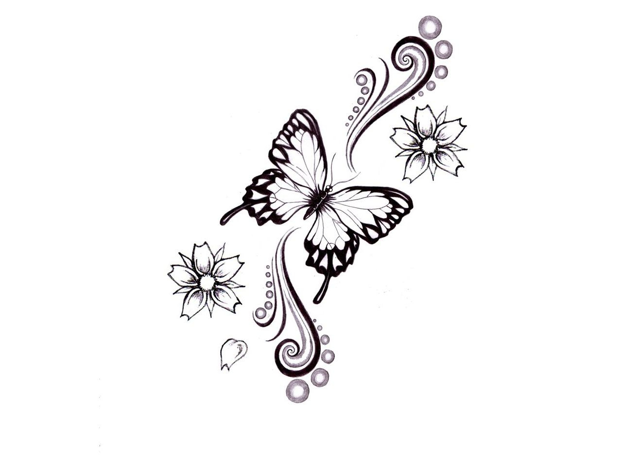 Butterfly Tattoo Sketches Butterfly Tattoo Sketches Butterfly Tattoo pertaining to measurements 1280 X 960
