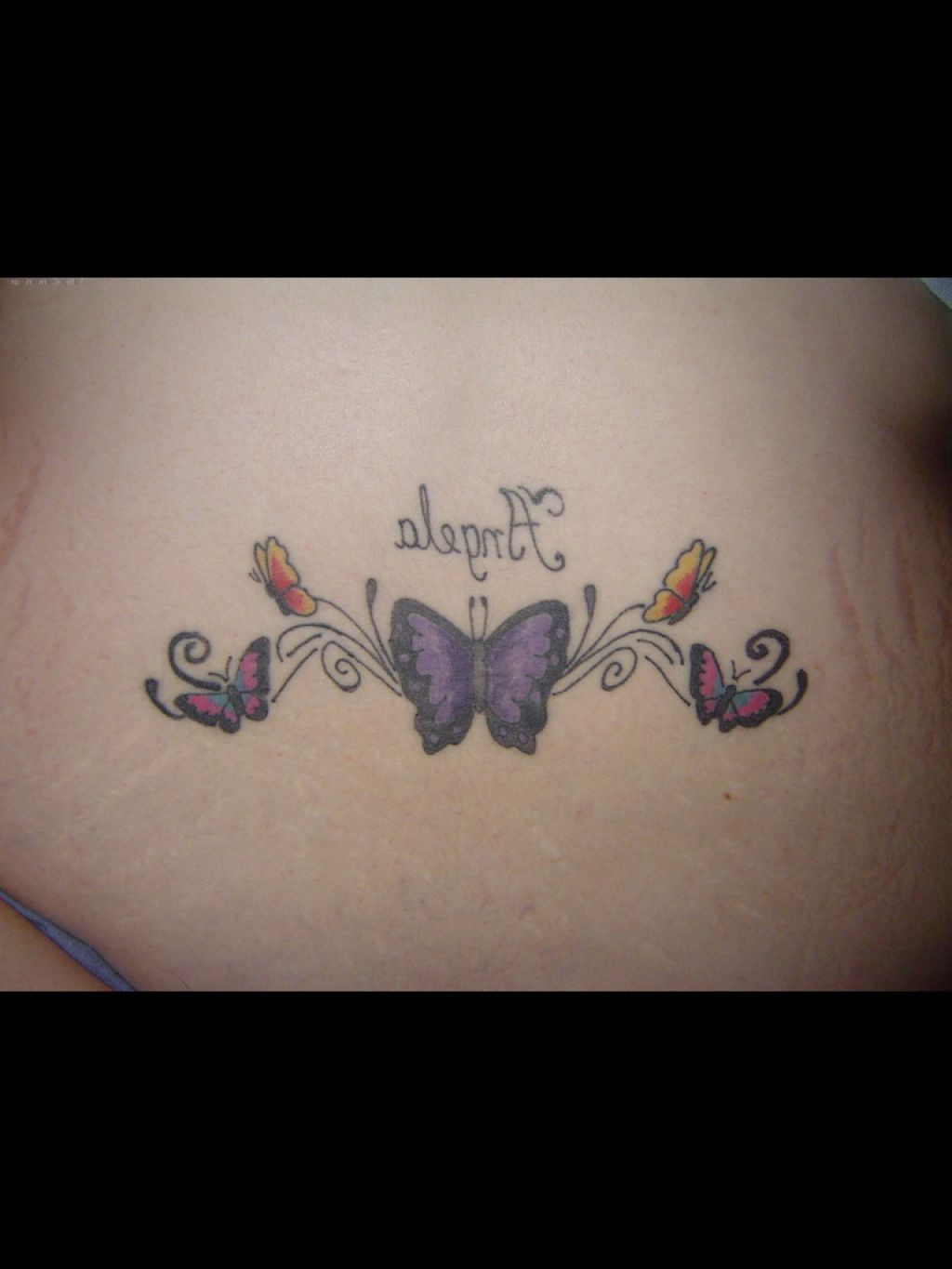 Butterfly Tattoos Lower Back Upper Back Tattoos For Men Dolphin throughout dimensions 1024 X 1365