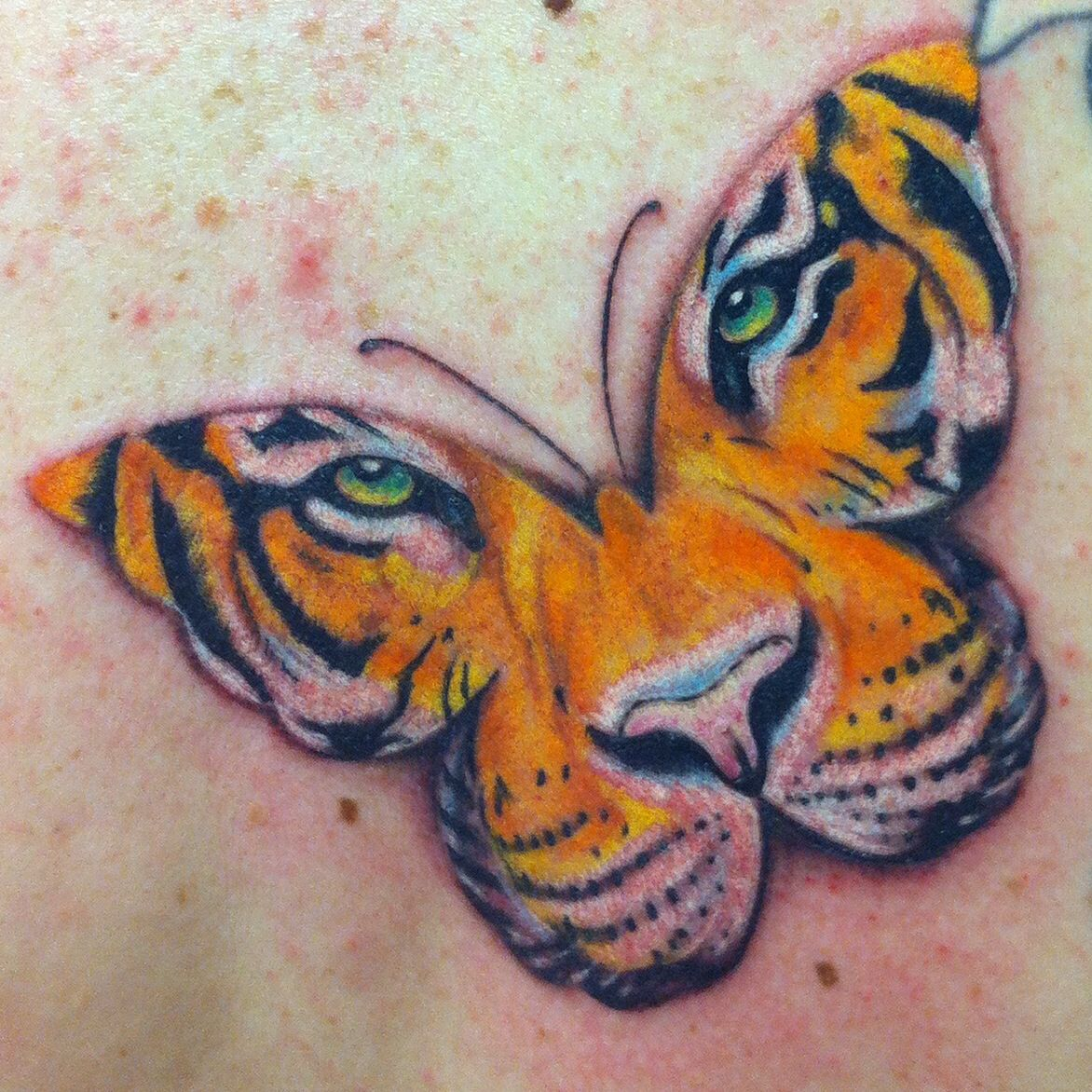 Butterfly Tiger Face Tattoo Auntie Tiger Face Tattoo Tattoos regarding dimensions 1172 X 1172