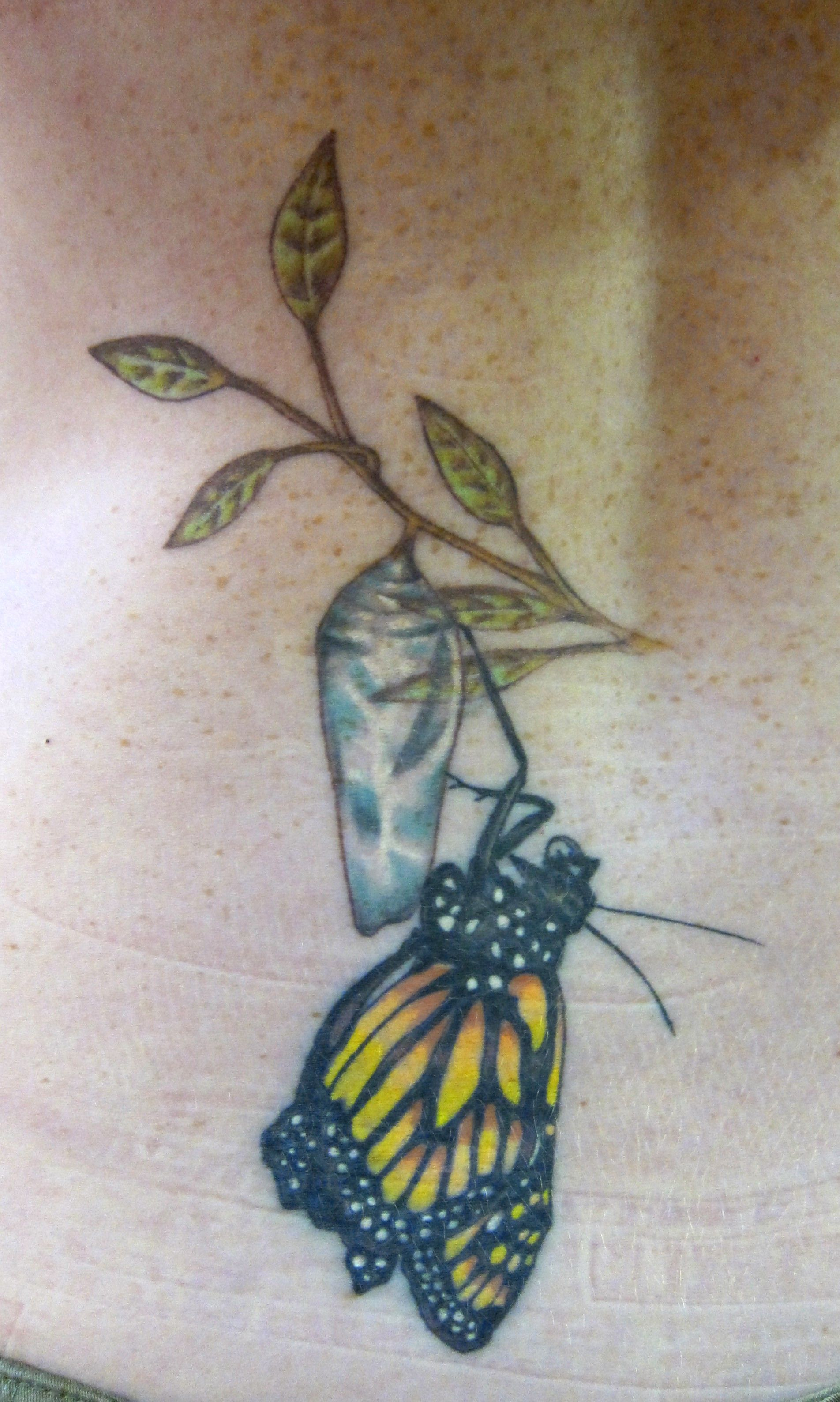 Chrysalis Chrysalidia Monarch Butterfly Tattoo Tattoos Tattoo regarding measurements 1904 X 3176