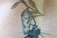 Chrysalis Chrysalidia Monarch Butterfly Tattoo Tattoos Tattoo with regard to dimensions 1904 X 3176