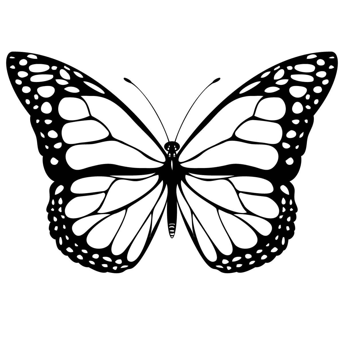 Classy Cool Monarch Butterfly Tattoo Stencil Cricut Butterfly for dimensions 1200 X 1200