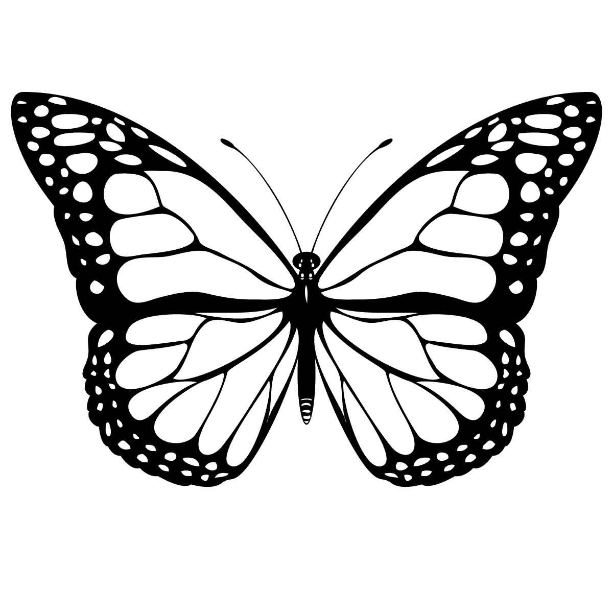 Classy Cool Monarch Butterfly Tattoo Stencil Cricut Butterfly inside size 1200 X 1200