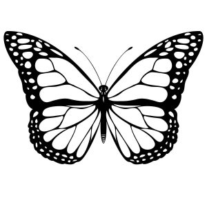 Classy Cool Monarch Butterfly Tattoo Stencil Cricut Butterfly pertaining to measurements 1200 X 1200