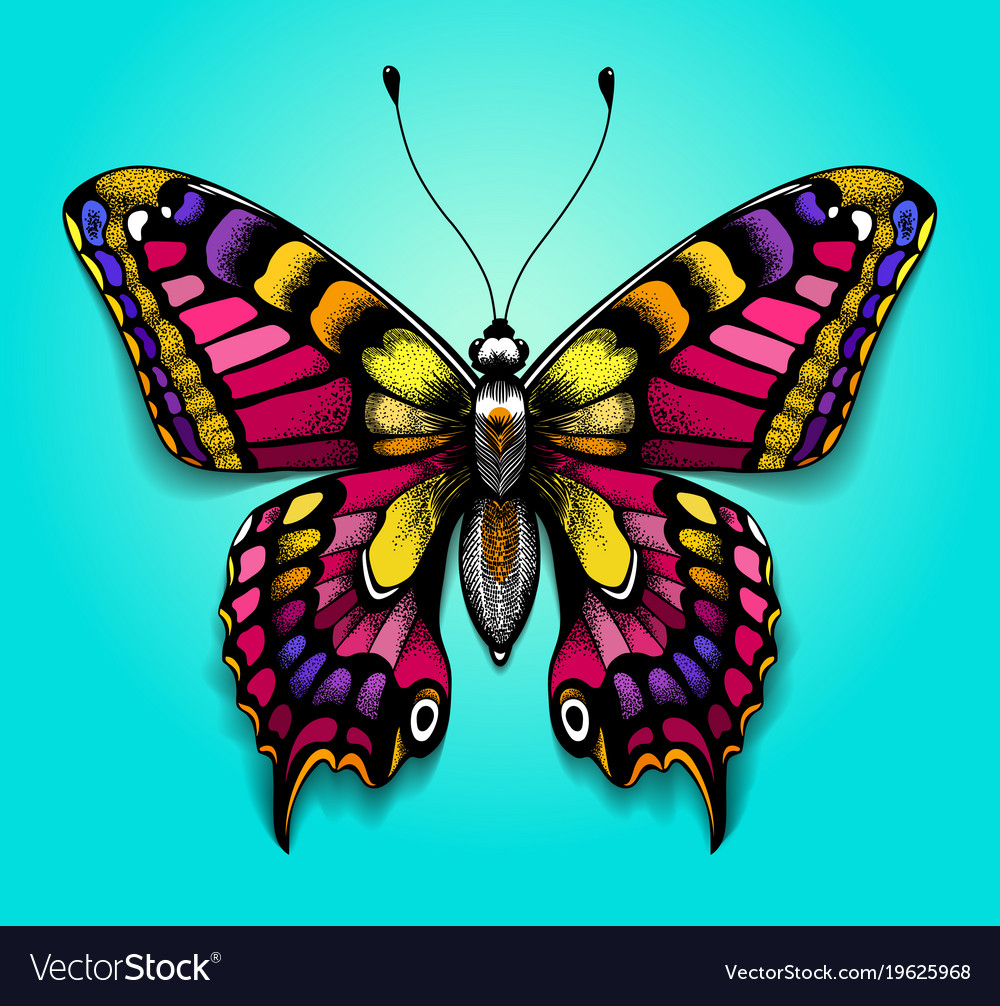 Colorful Butterfly Bright Tattoo For Your Back with regard to sizing 1000 X 1006