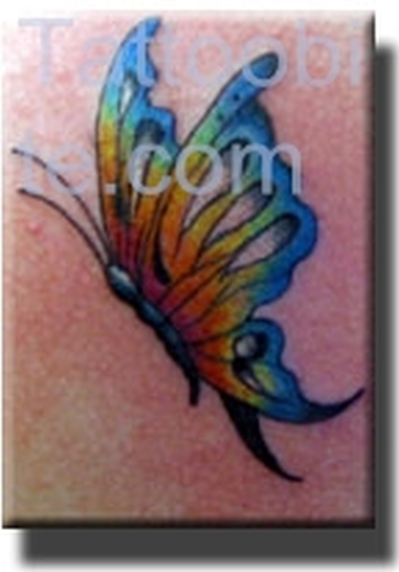 Colourful Butterfly Tattoo Tattoos Book 65000 Tattoos Designs pertaining to measurements 800 X 1148