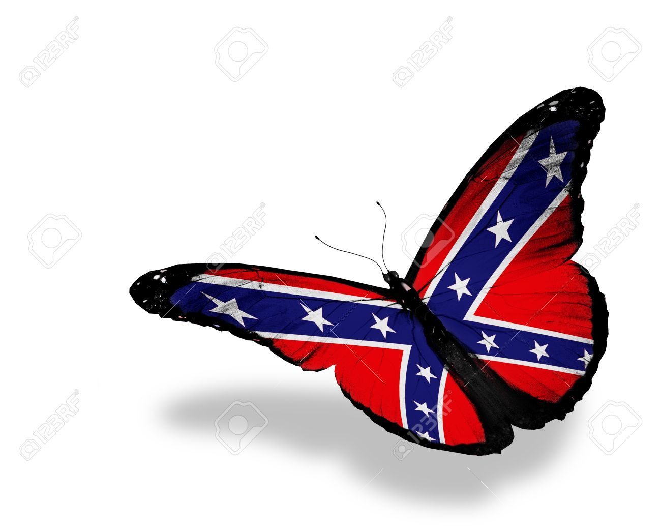 Confederate Butterfly Google Search Southern 4 Life Group in measurements 1300 X 1040