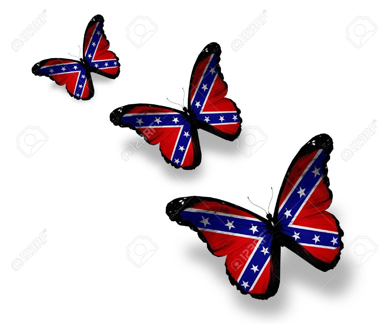 Confederate Butterfly Google Search Southern 4 Life Group pertaining to size 1300 X 1083
