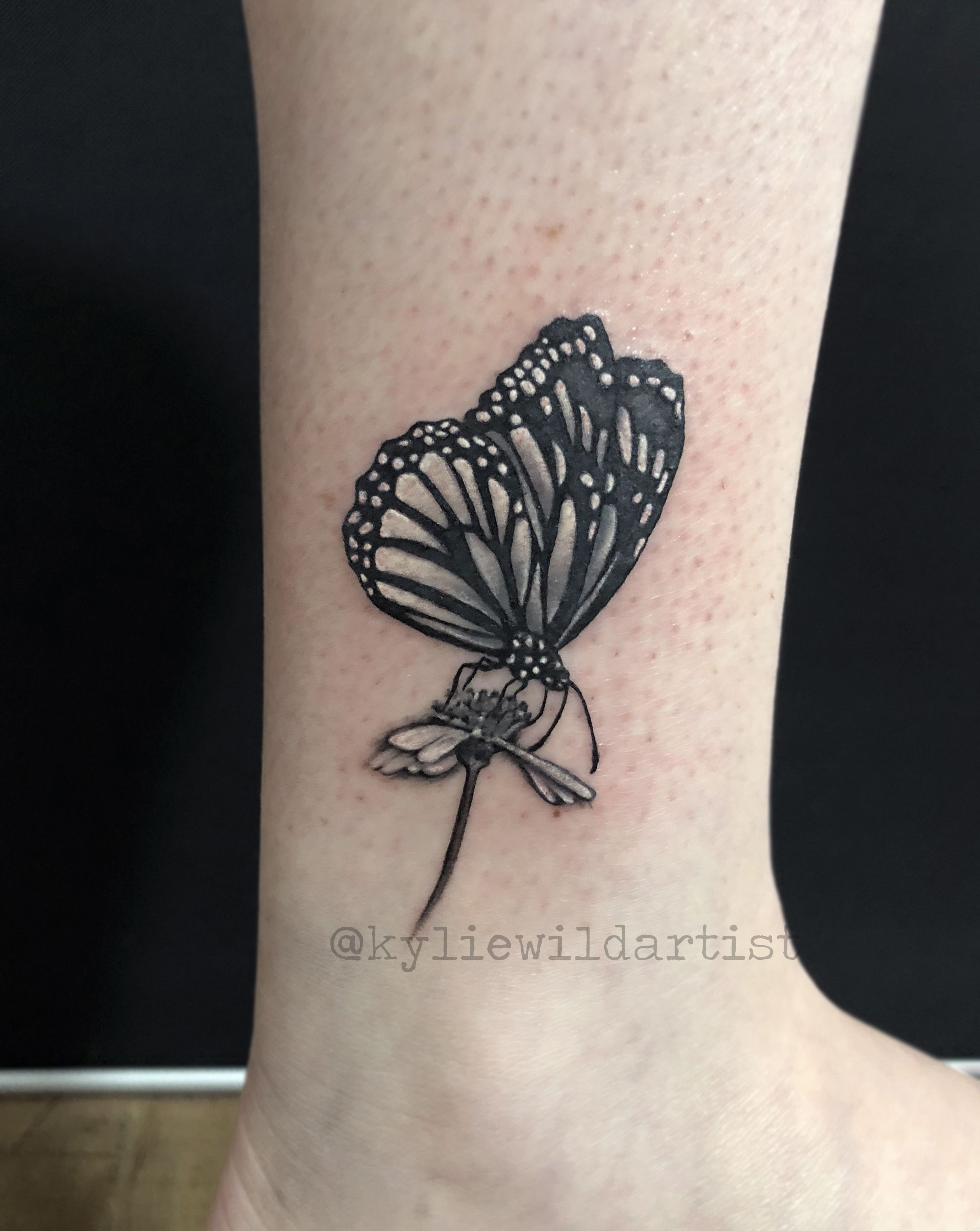 Cute Pretty Little Monarch Butterfly Sitting On Daisy Flower Ankle intended for measurements 2580 X 3240