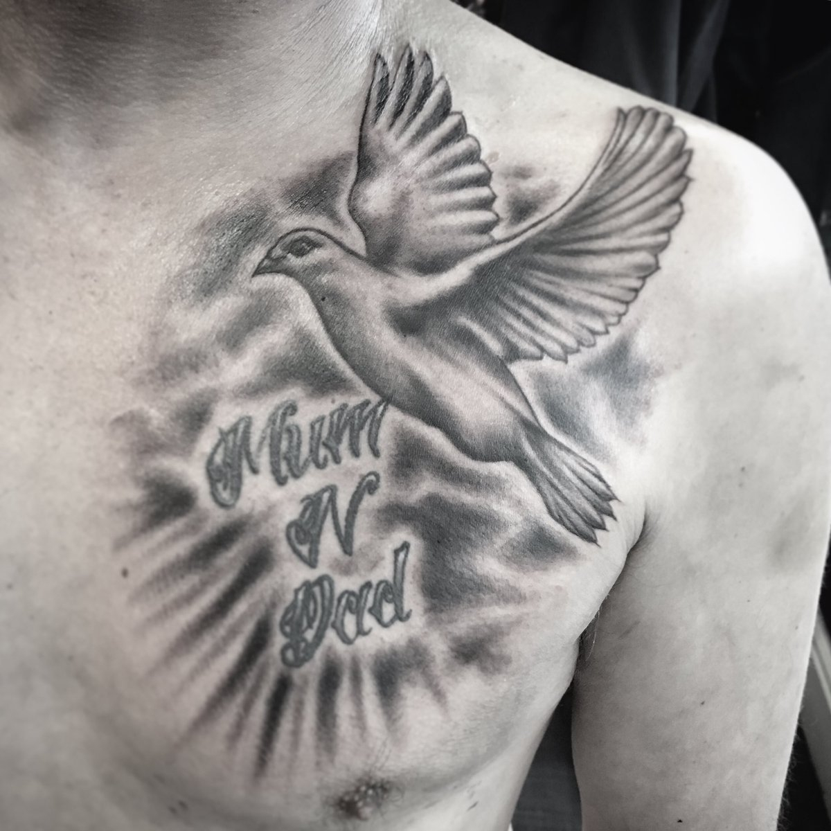 Dove Chest Tattoo 90 Images In Collection Page 2 pertaining to size 1200 X 1200