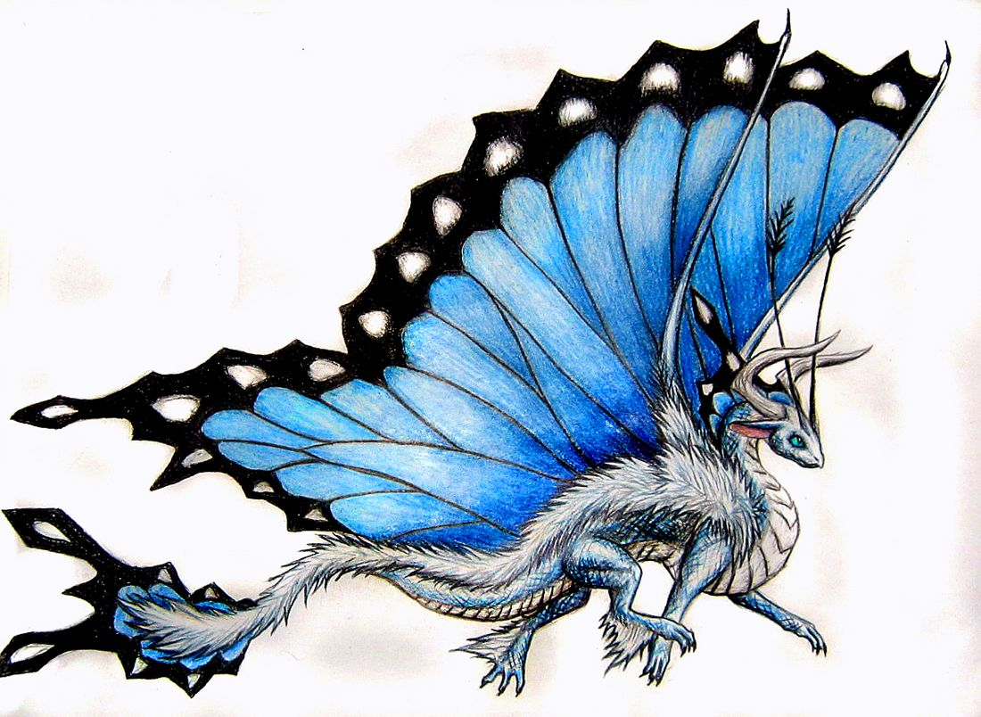 Dragon Butterfly Tattoo Butterfly Dragon Dragon Dragon Pictures for dimensions 1100 X 804
