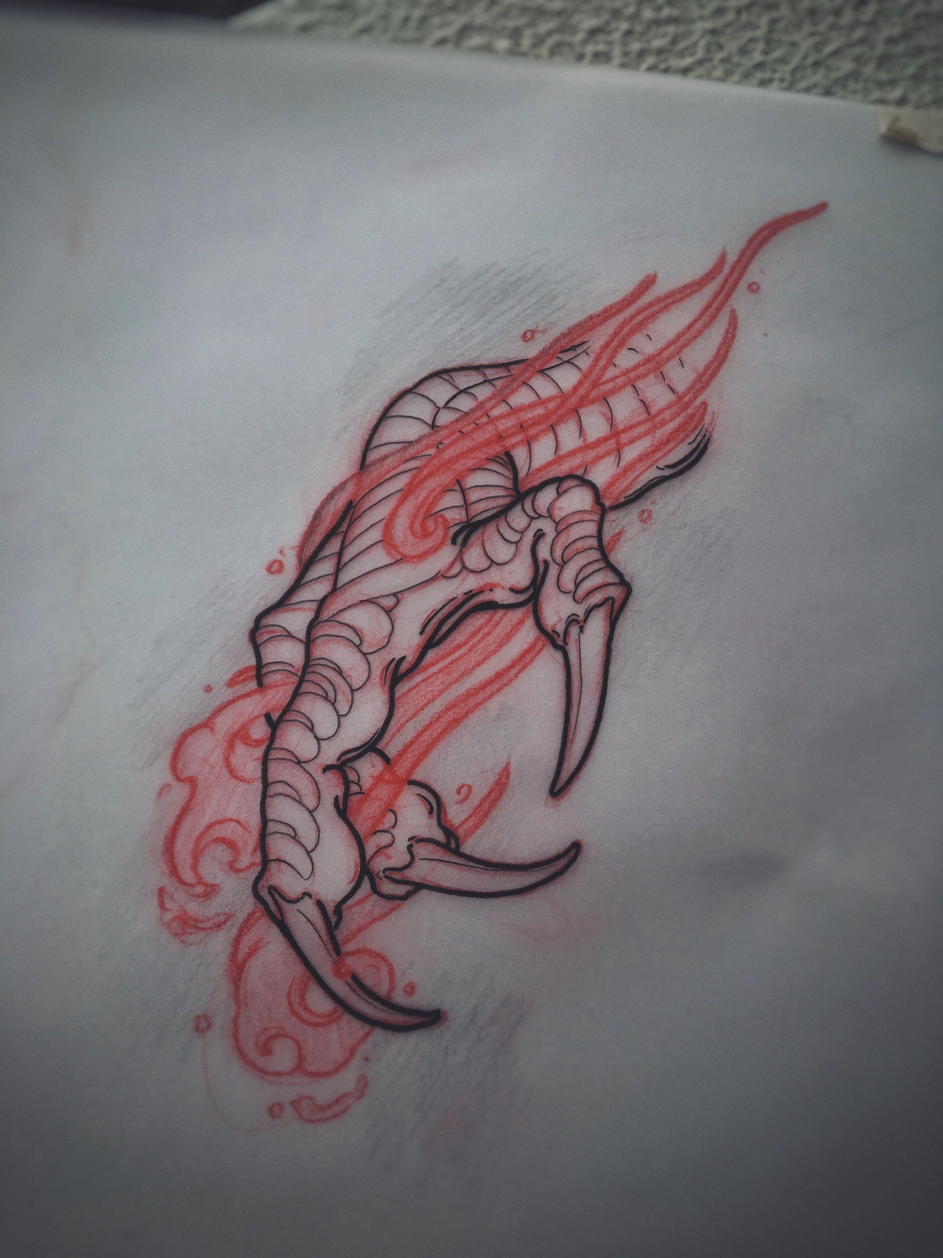 Dragon Claw Sketch Akos Perth Australia Tattoo Ideas throughout dimensions 3024 X 4032