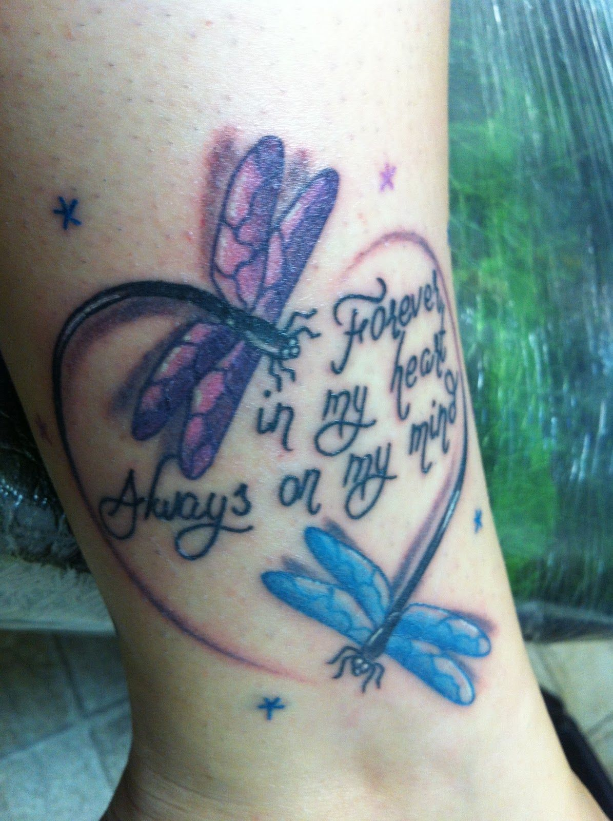 Dragonflies Symbolize Lost Loved Ones Wow Image Results intended for size 1195 X 1600