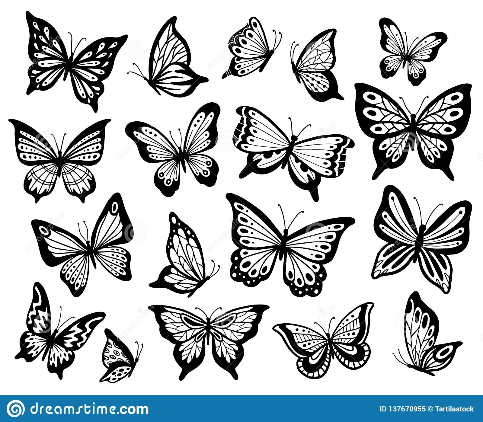 Drawing Butterflies Stencil Butterfly Moth Wings And Flying pertaining to proportions 1600 X 1398