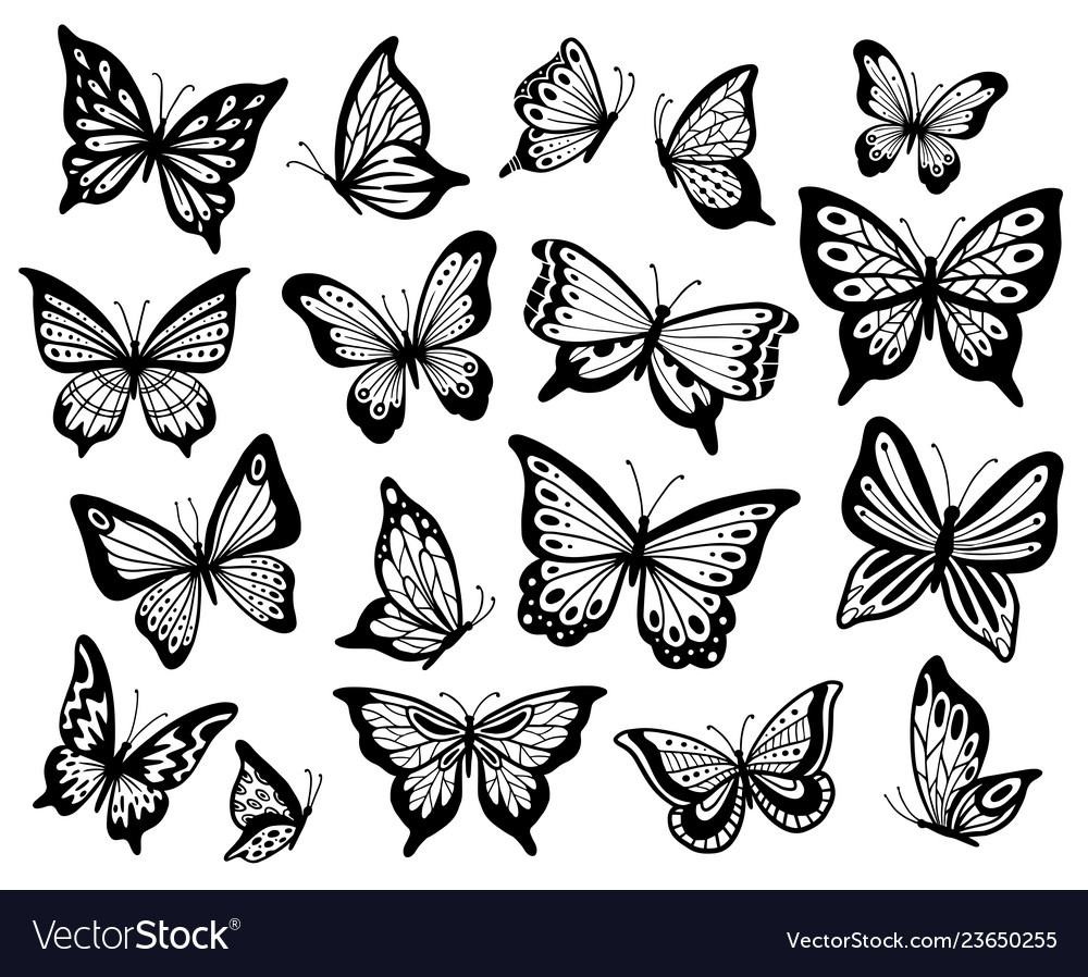 Drawing Butterflies Stencil Butterfly Moth Wings Vector Image in size 1000 X 898
