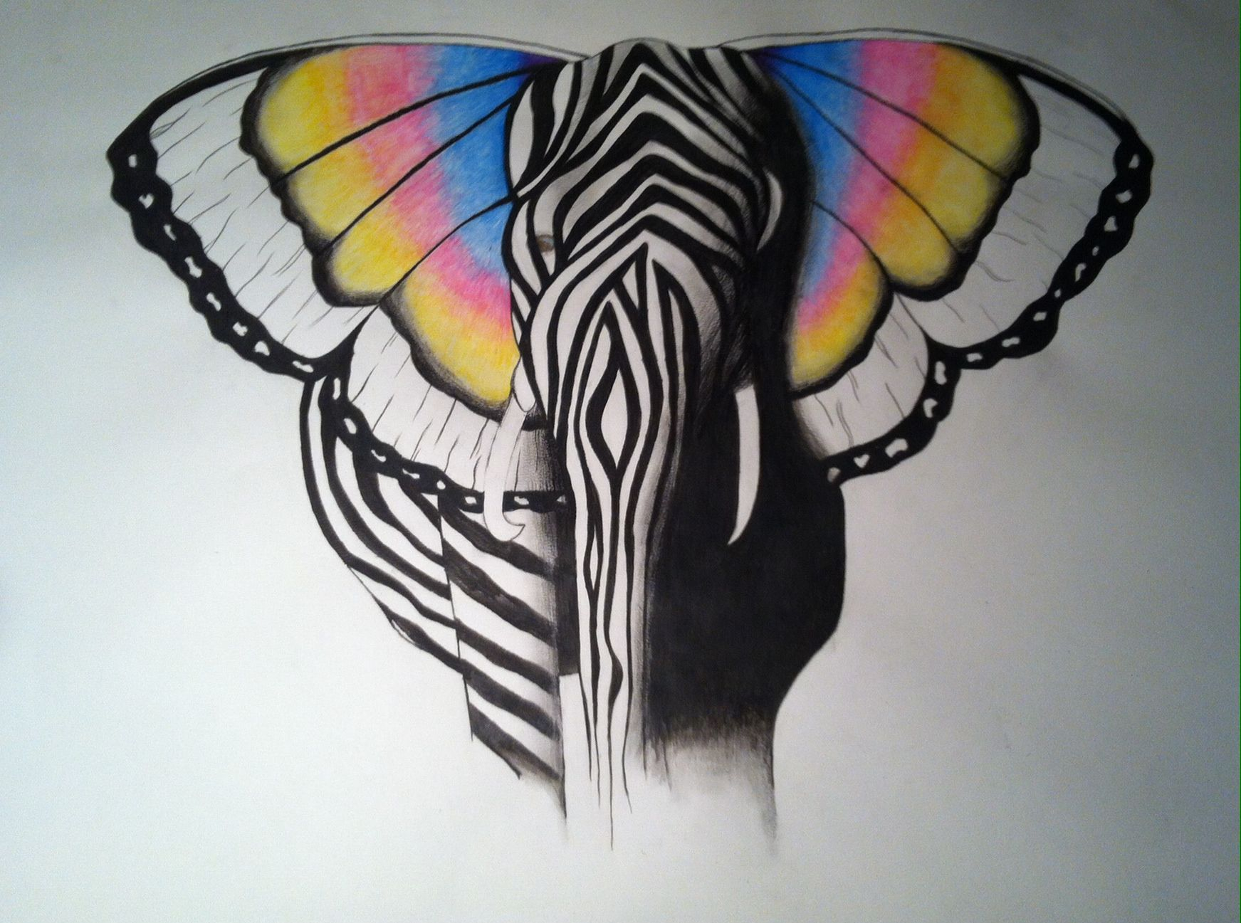 Elephant Butterfly Zebra Sketch Watercolour Drawing Art regarding proportions 1743 X 1297