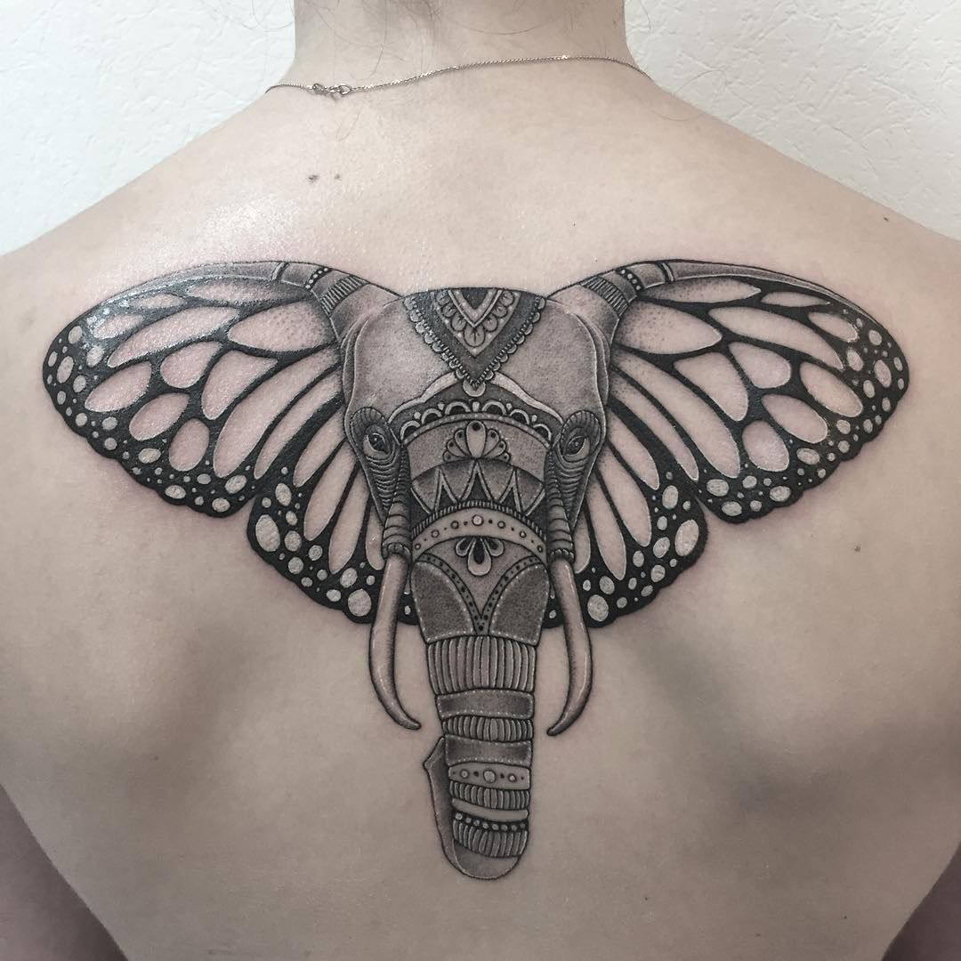 Elephant Tattoo With Butterfly Ears Tattoos On Men Elephant intended for measurements 1080 X 1080