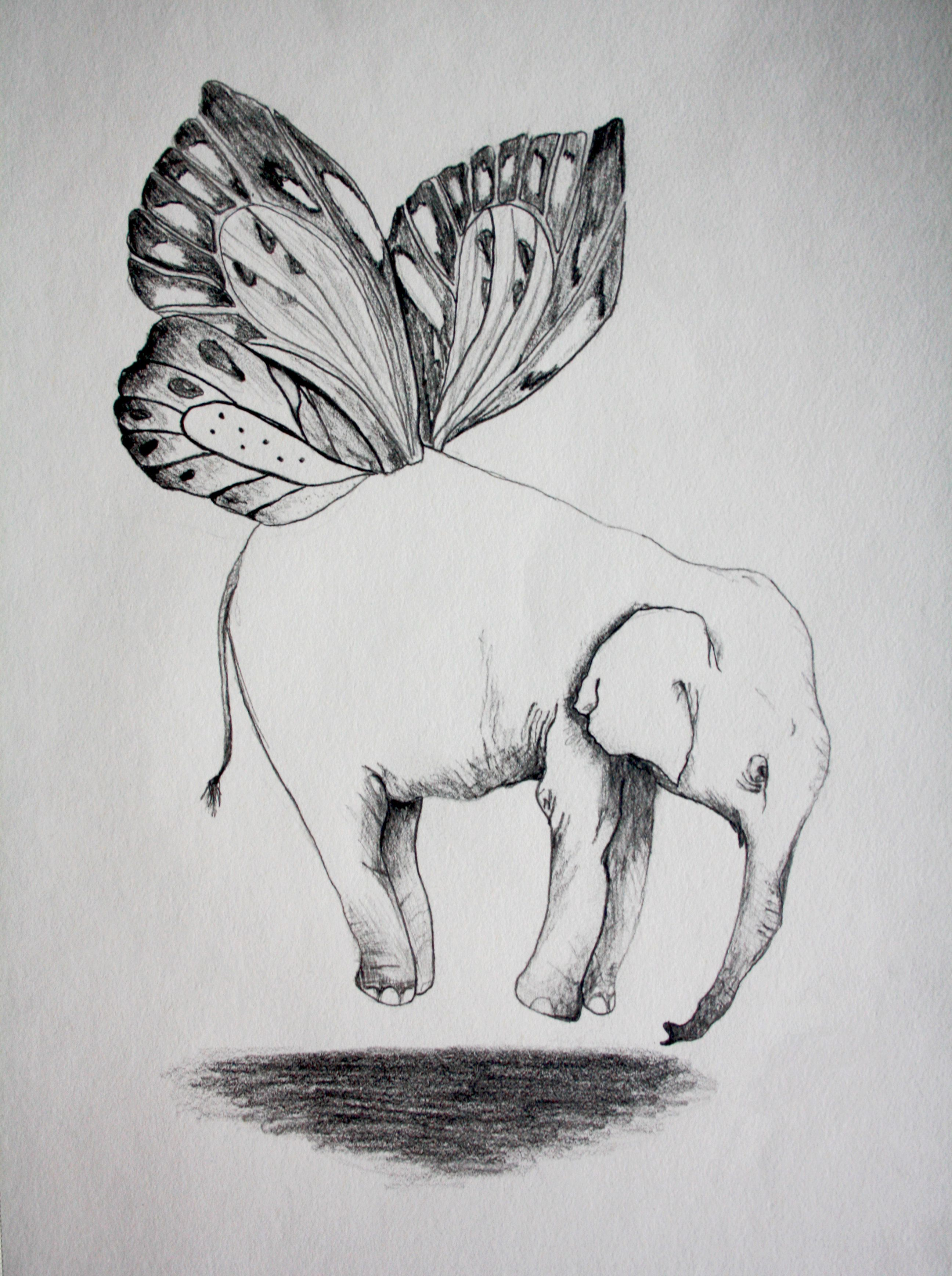 Elephant With Butterfly Wings Tattoo Elephant Tattoos Butterfly for dimensions 2592 X 3473