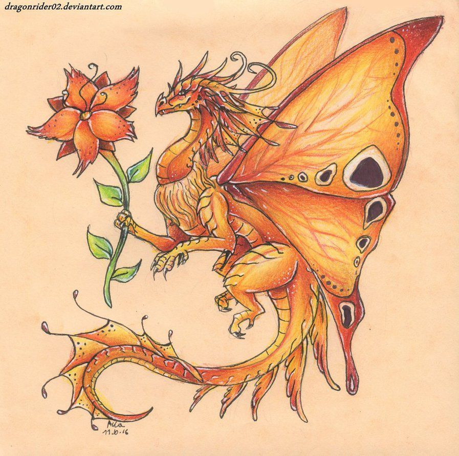 Fire Butterfly Dragon Dragonrider02 Dragon Art In 2019 within proportions 897 X 891