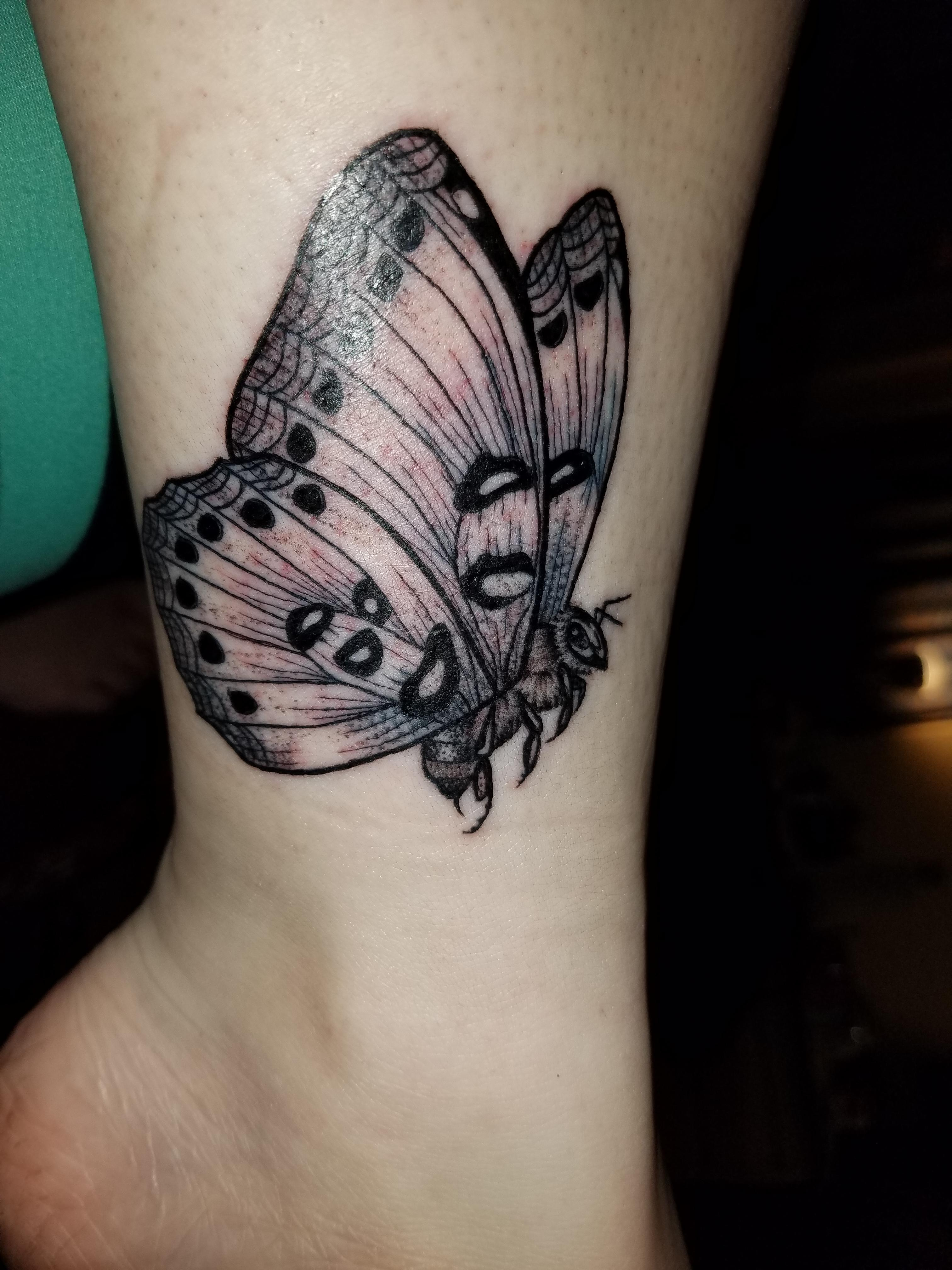Float Like A Butterfly Sting Like A Bee Tattoo Arm Tattoo Sites