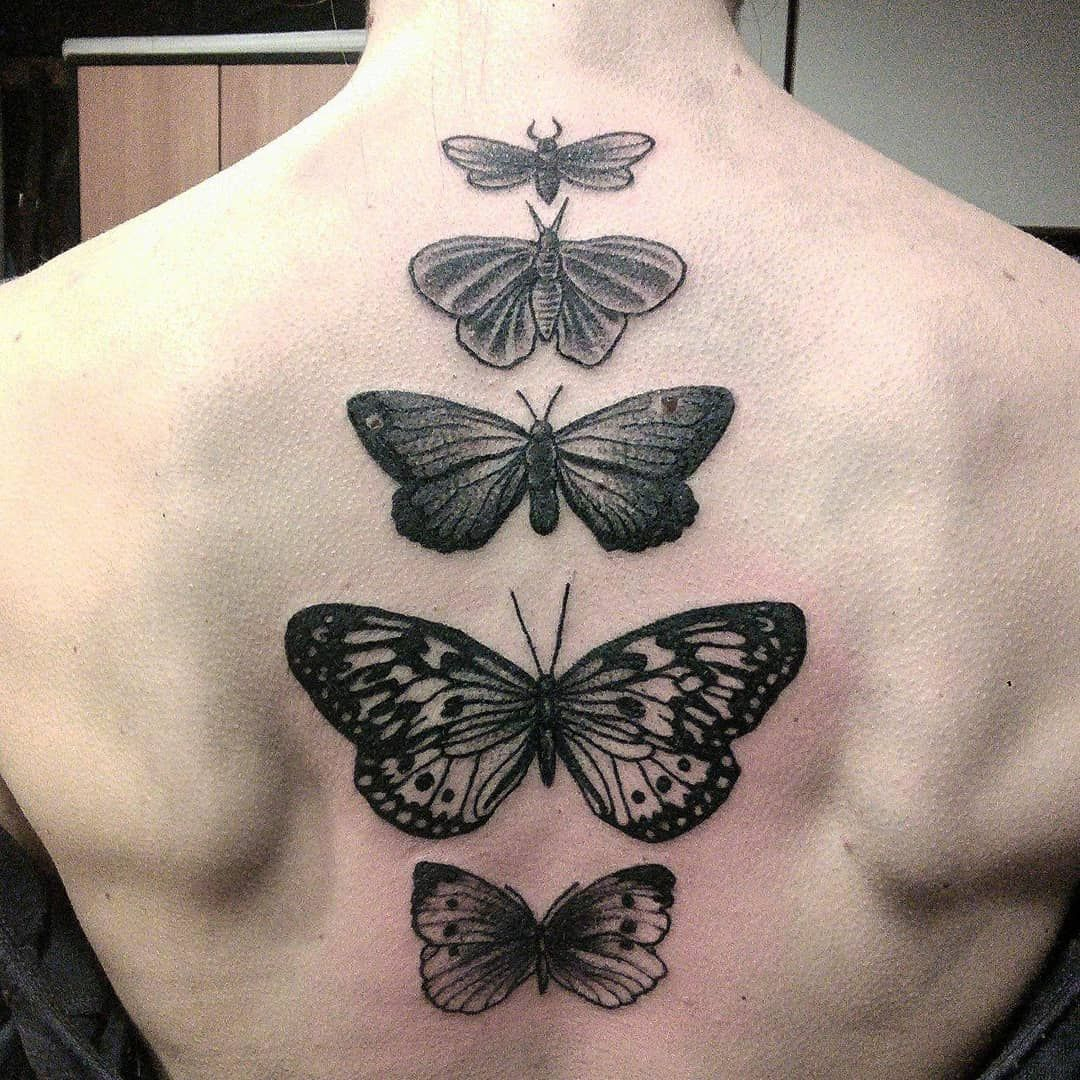 Flying Butterfly Tattoos Tattoo Photos Spine Tattoos Tattoos Y regarding proportions 1080 X 1080