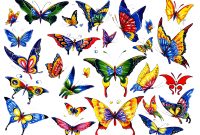 Free Cartoon Butterfly Tattoos Download Free Clip Art Free Clip intended for size 1024 X 768