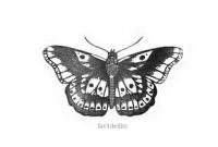 Free Lockscreens On Twitter Harry Styles Butterfly Tattoo Free intended for sizing 674 X 1200