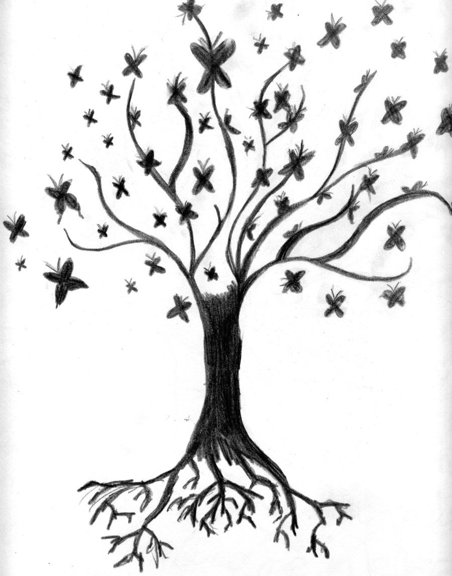 Free Tree Of Life Clipart Clipart Kid Eco Activists Tree Of with measurements 900 X 1147