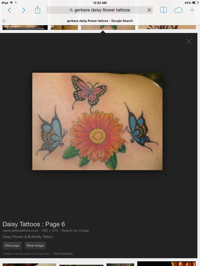 Gerber Daisy With Butterflies Tattoo Ideas Watercolor Tattoo in size 768 X 1024