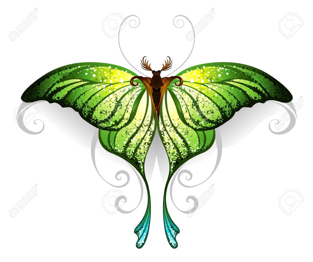 Green Realistic Exotic Butterfly On A White Background Tattoo regarding proportions 1300 X 1090