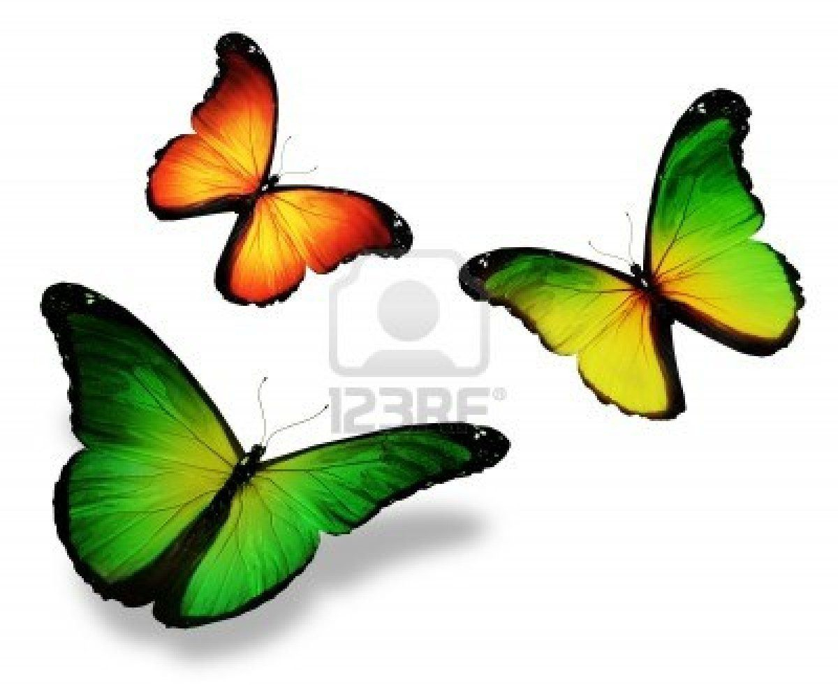 Greenyellow Butterfly Tattoo Ideas Tattoos Yellow Butterfly intended for sizing 1200 X 981