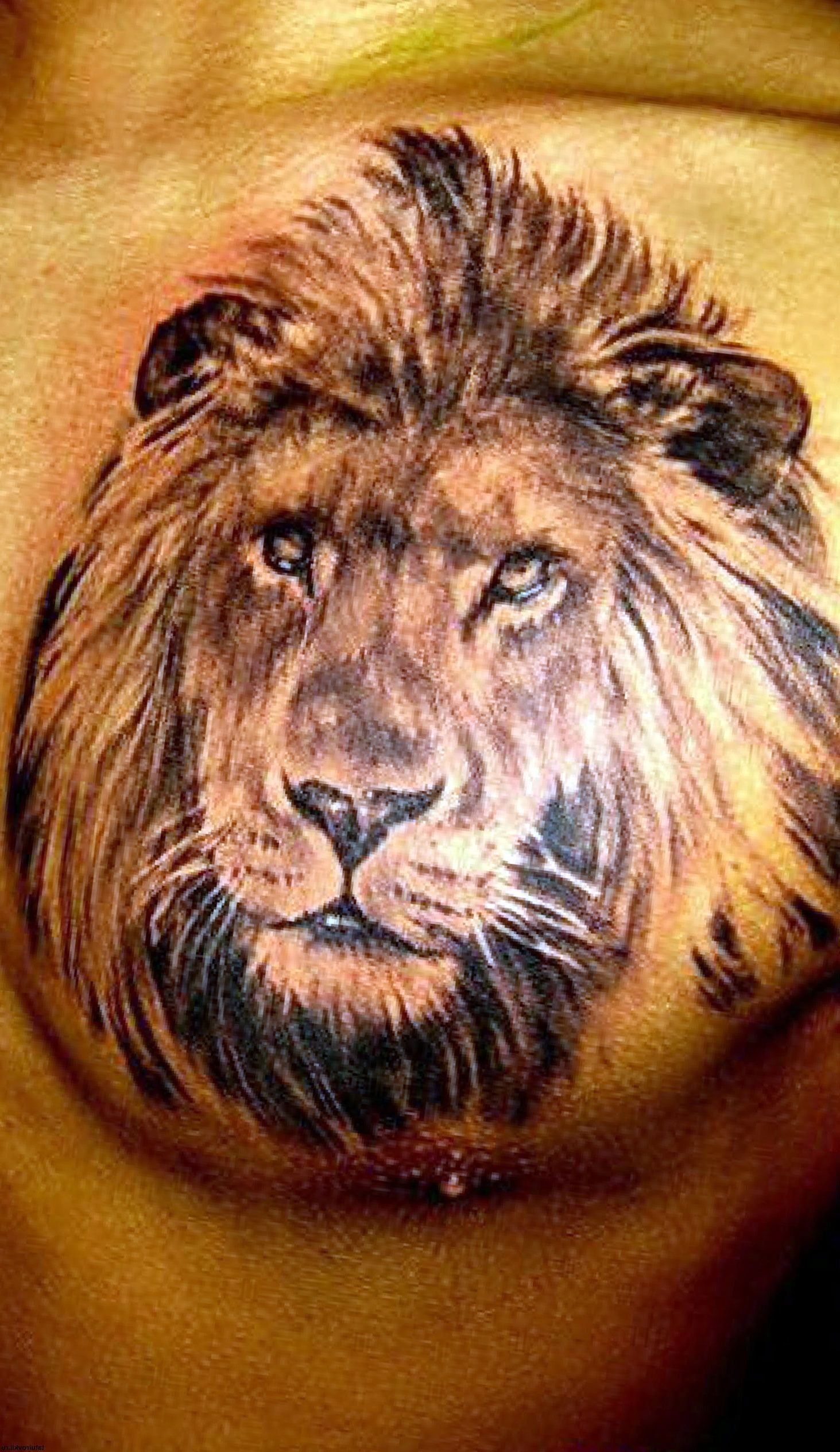 Grey Ink Lion Head Tattoo On Chest Tattoo Ideas Tt Lion Tattoo inside dimensions 1463 X 2528