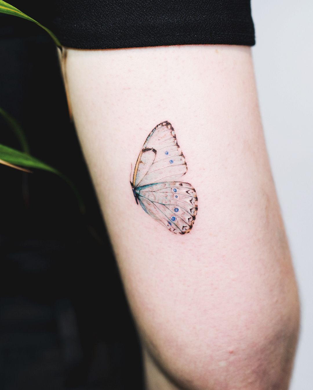 Half Butterflynandotattoo Ink Tattoos Flower Tattoos in measurements 1080 X 1345